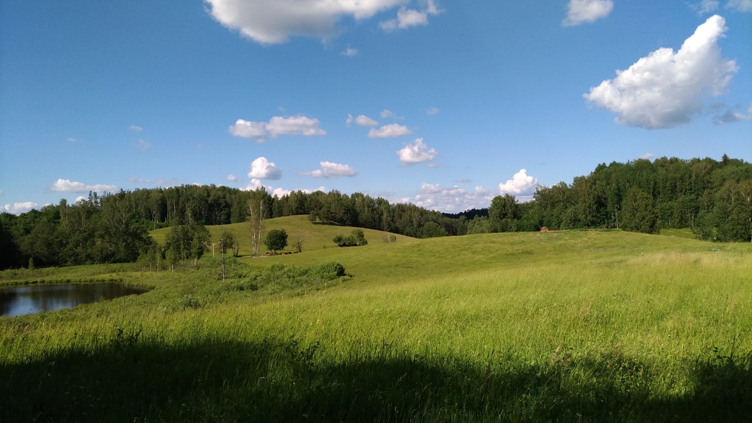 Karula National Park Camping Area